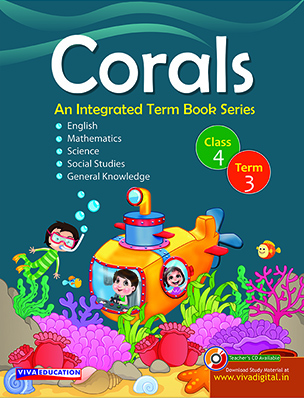 Corals Class 4 - Term 3