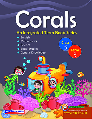 Corals Class 5 - Term 3