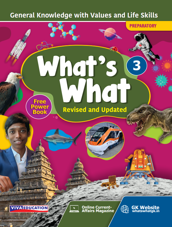 What's What, 2024 Edition Book-3
